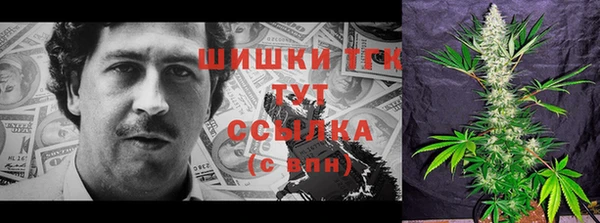 гидра Алексеевка