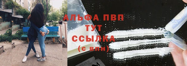 гидра Алексеевка