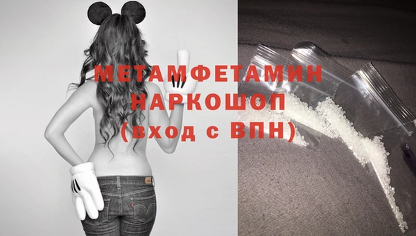 гидра Алексеевка
